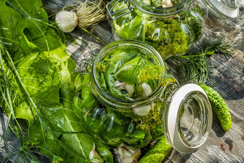 zelf broccoli inmaken